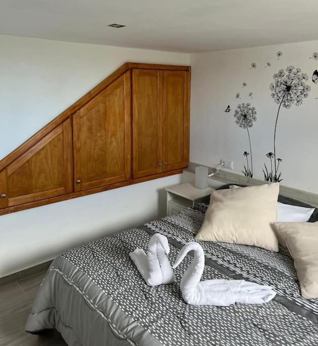 La Casita De La Pared Apartment Santa Cruz de Tenerife Ngoại thất bức ảnh